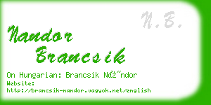 nandor brancsik business card